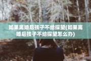 如果离婚后孩子不给探望(如果离婚后孩子不给探望怎么办)