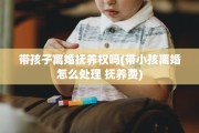 带孩子离婚抚养权吗(带小孩离婚怎么处理 抚养费)