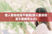 情人爱你但是不离婚(情人爱你但是不离婚怎么办)