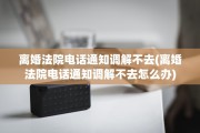 离婚法院电话通知调解不去(离婚法院电话通知调解不去怎么办)