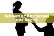 两夫妻离婚房产怎么分(两夫妻离婚房产怎么分割)