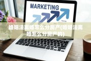 婚姻法离婚怎么分房产(婚姻法离婚怎么分房产的)