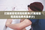 打离婚官司流程和费用(打离婚官司流程和费用是多少)