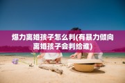 爆力离婚孩子怎么判(有暴力倾向离婚孩子会判给谁)