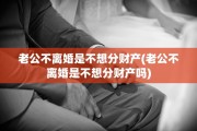老公不离婚是不想分财产(老公不离婚是不想分财产吗)