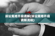 诉讼离婚开庭调解(诉讼离婚开庭调解流程)