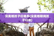 没离婚孩子归谁养(没离婚期间孩子归谁)