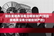 现在离婚有没有分婚前财产(现在离婚有没有分婚前财产的)