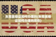 东莞离婚证如何办理吗(东莞离婚证如何办理吗现在)