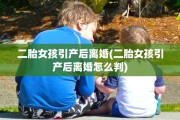 二胎女孩引产后离婚(二胎女孩引产后离婚怎么判)