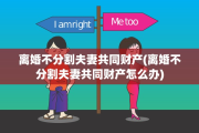 离婚不分割夫妻共同财产(离婚不分割夫妻共同财产怎么办)
