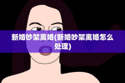新婚吵架离婚(新婚吵架离婚怎么处理)