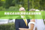 离婚试点法院(离婚试点法院有哪些)