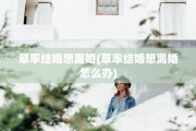 草率结婚想离婚(草率结婚想离婚怎么办)