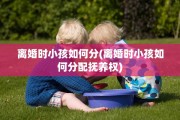 离婚时小孩如何分(离婚时小孩如何分配抚养权)