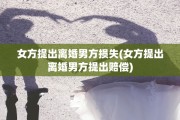 女方提出离婚男方损失(女方提出离婚男方提出赔偿)