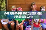 办理离婚孩子抚养权(办理离婚孩子抚养权怎么判)