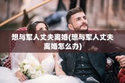 想与军人丈夫离婚(想与军人丈夫离婚怎么办)