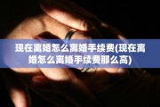 现在离婚怎么离婚手续费(现在离婚怎么离婚手续费那么高)
