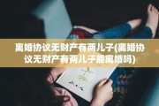 离婚协议无财产有两儿子(离婚协议无财产有两儿子能离婚吗)