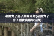 老婆为了房子跟我离婚(老婆为了房子跟我离婚怎么办)