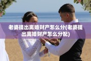 老婆提出离婚财产怎么分(老婆提出离婚财产怎么分配)