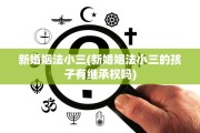 新婚姻法小三(新婚姻法小三的孩子有继承权吗)