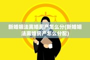 新婚姻法离婚房产怎么分(新婚姻法离婚房产怎么分配)