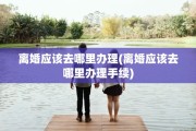 离婚应该去哪里办理(离婚应该去哪里办理手续)