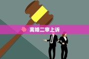 离婚二审上诉