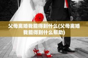 父母离婚我能得到什么(父母离婚我能得到什么帮助)