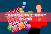 二婚离婚如何分财产(二婚的财产怎么分配)