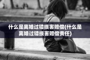 什么是离婚过错损害赔偿(什么是离婚过错损害赔偿责任)