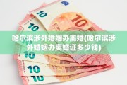 哈尔滨涉外婚姻办离婚(哈尔滨涉外婚姻办离婚证多少钱)