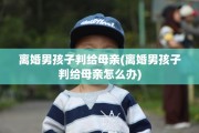 离婚男孩子判给母亲(离婚男孩子判给母亲怎么办)