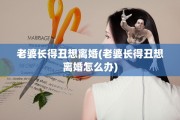 老婆长得丑想离婚(老婆长得丑想离婚怎么办)