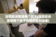 法院起诉离婚两个孩子(法院起诉离婚两个孩子抚养权都判给谁)