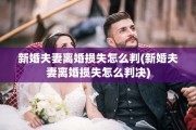 新婚夫妻离婚损失怎么判(新婚夫妻离婚损失怎么判决)