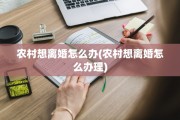 农村想离婚怎么办(农村想离婚怎么办理)