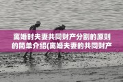 离婚时夫妻共同财产分割的原则的简单介绍(离婚夫妻的共同财产怎么分)