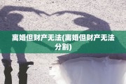 离婚但财产无法(离婚但财产无法分割)
