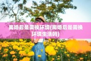 离婚后是需换环境(离婚后是需换环境生活吗)