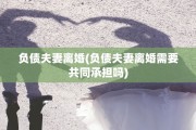 负债夫妻离婚(负债夫妻离婚需要共同承担吗)