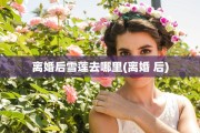 离婚后雪莲去哪里(离婚 后)