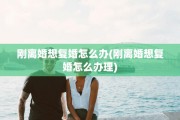 刚离婚想复婚怎么办(刚离婚想复婚怎么办理)