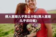 俩人离婚儿子怎么分配(两人离婚儿子该归谁)