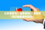 公安系统可以查离婚吗(公安系统可以查离婚吗现在)