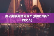 妻子离家离婚分家产(离婚分家产的女人)