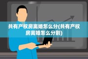 共有产权房离婚怎么分(共有产权房离婚怎么分割)
