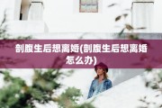 剖腹生后想离婚(剖腹生后想离婚怎么办)
